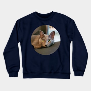 Mace the Streamer Cat Crewneck Sweatshirt